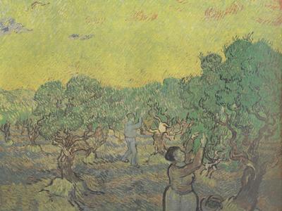 Vincent Van Gogh Olive Grove with Picking Figures (nn04)